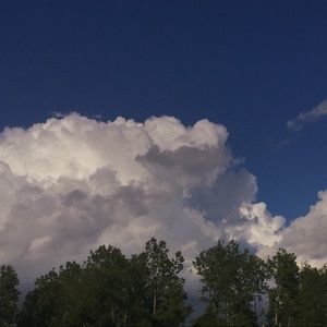 Meet your Posher, Liesl